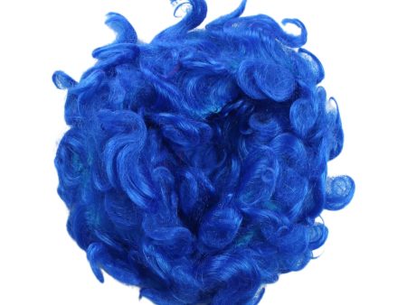 Blue Curly Wig O S Discount