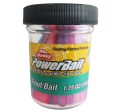 Berkley Powerbait Trout Bait Online Hot Sale